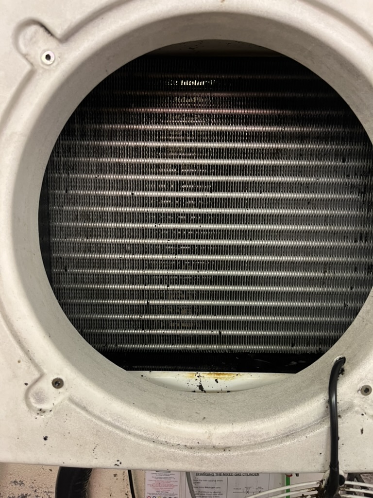 Cellar cooler evaporator coil after contaminants have been removed